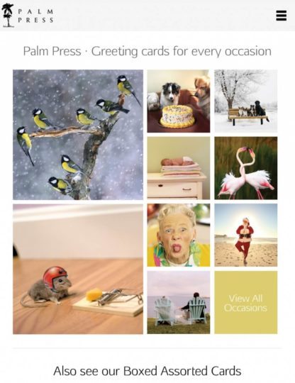 Screenshot of Palm Press website on tablet